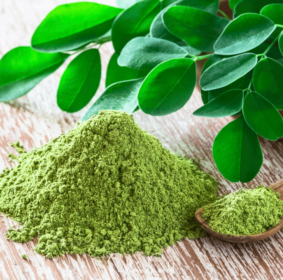 Uses and potential side effects of the herbal product Moringa oleifera as a food supplement and herbal medicine